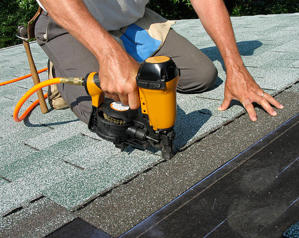 Best Storm Damage Roof Repair  in River Grove, IL