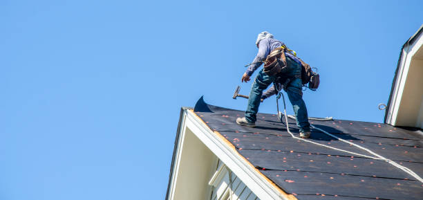 Best Flat Roof Repair Services  in River Grove, IL